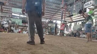 1st fight WIN 4 stag Entry name TiGRE Ng DAVAO