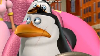 The Penguins of Madagascar - The Penguins Go to Tour