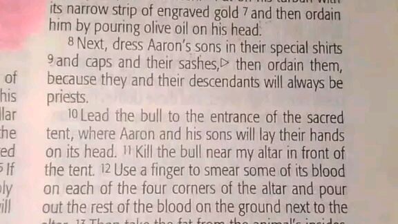 Daily Verse.        Exodus 29:4-9