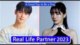 Cha Eun Woo And Park Gyu Young (A Good Day to Be a Dog) Real Life Partner 2023