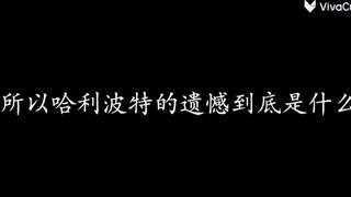 所以哈利波特的遗憾到底是什么