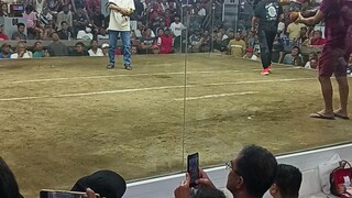 Michelle Bennett ..5stag 9-27-2025 KMAC