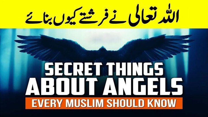Why Did ALLAH Create ANGELS? | Secret Things About ANGELS | Mr Informative