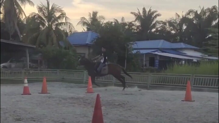 Putra Equine Centre | Horse Ride