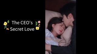 The CEO's Secret Love Chinese Drama