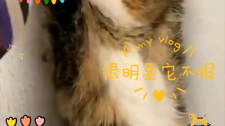 من الواضح أنه غير راضٍ.