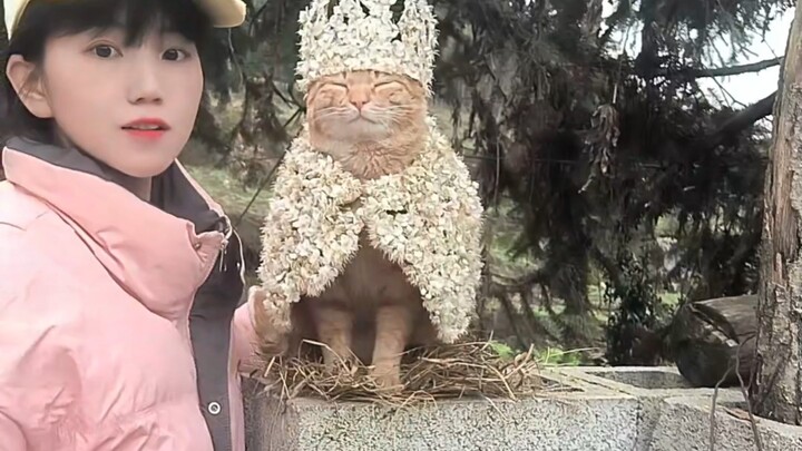 Hậu trường + toàn bộ quá trình hoàn thiện mà các bạn muốn