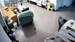 رمى الطفل المشاغب حذاءه ليُعبّر عن غضبه لأمه، ثم ركع مُعترفًا بخطئه في اللحظة التالية. كلما رمى حذاء