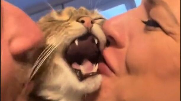 【Lồng tiếng động vật】Đang làm càn àaaaaaaa!