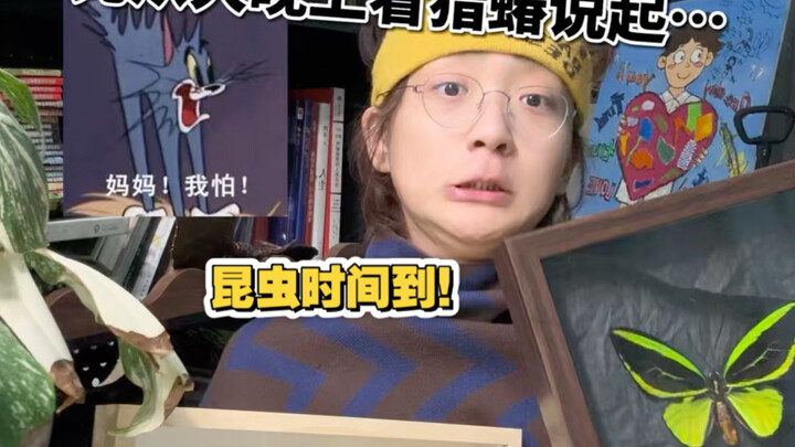 Mahar seorang siput? Dimulai dari kisah cinta saat makan malam sang kepik pemburu…