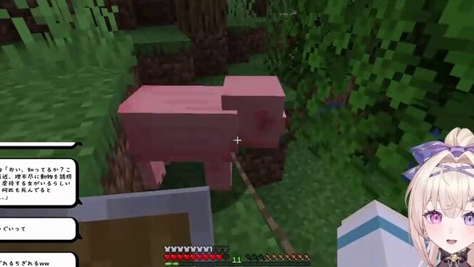 The target of Japan's chatty angels? 🐖Big pig farmers!