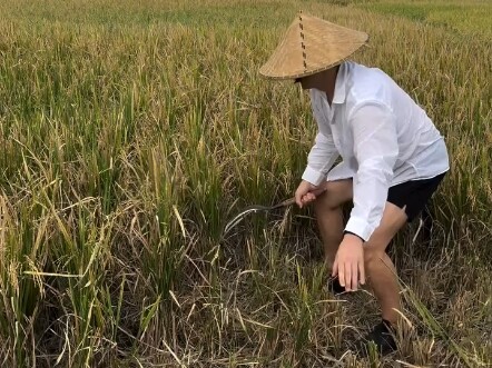 Việt Cộng Đạt Kỳ