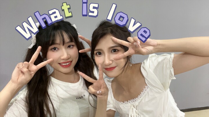 Can Xiaoxiao and Lin Zhi tell you what love is?