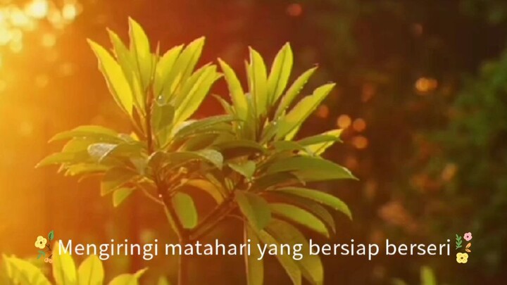 Disapa Hujan Pagi Lirik cip. Alamsyah