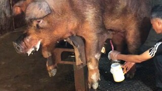 Jadi begitulah cara melakukannya?