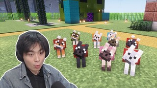 I took in all the dogs in the MC world!!!