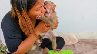 Most Happiness Family!! Tiny Toto and Yaya is very happy when Mom gently play with them