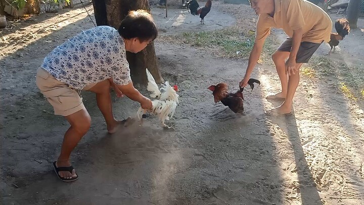 san marcilino zambales sabay na kayo mga katari