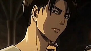 levi