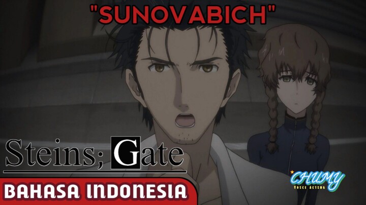 [Dubbing Bahasa Indonesia] SUNOVABICH - Steins;Gate Fandub Bahasa Indonesia