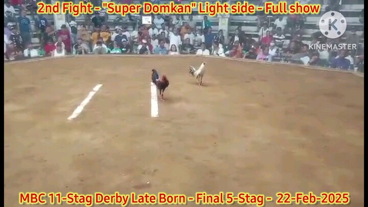 Super Domkan "Light side" 2nd Fight Winner - 2025 WPC MBC 11-Stag Derby Lateborn Edition - Finals