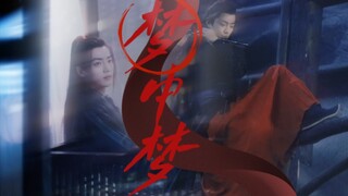 [Xiao Zhan x Wei Wuxian] "His life is like a fragile dream, I can't catch him"