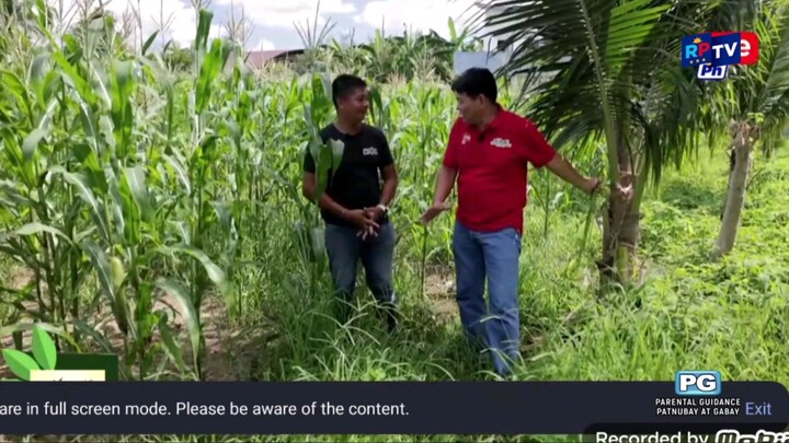 RPTV MASAGANANG BUHAY AUGUST 1 2026