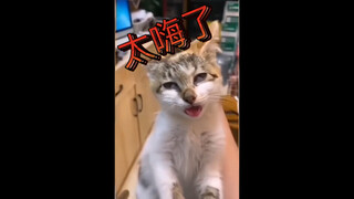 Mùi vị này quá đã!
