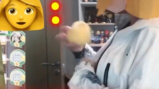 A cruel job that makes my mom's eyes turn black: stuffing a little 🐤!