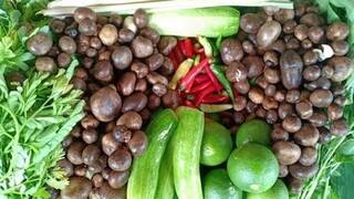 แกงเห็ดเผาะอาหารอีสานสุดแซ่บ