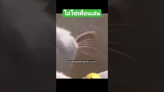 ^มีรวมคลิปเต็มชุดนี้กดดูลิงค์ด้านบนเลยจ้า^ ไม่ใช่เพื่อนเล่นนะ
