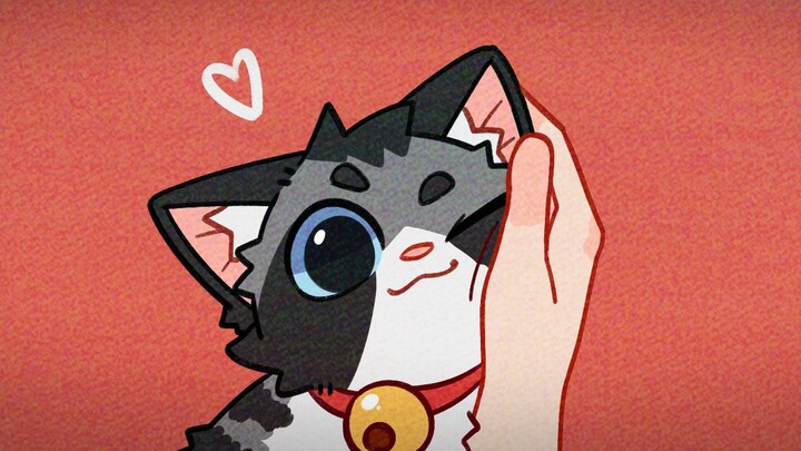【Komi Cat】Masuk dan lihat postingan kucing