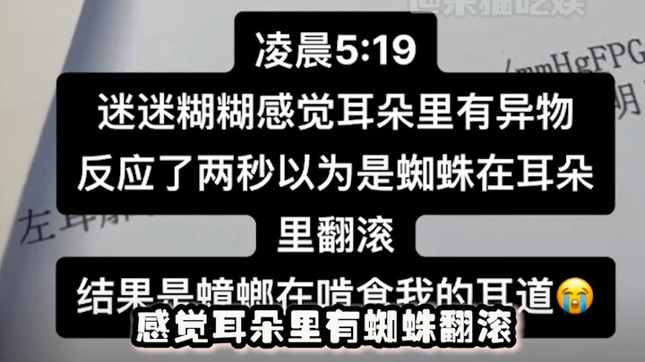 Could it be that college students’ newbie protection period is over? #Funny #CollegeStudents #Unexpe