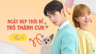Phim Ngày Đẹp Trời Để Trở Thành Cún - Tập 1 - Vietsub