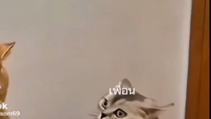 555555