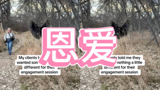 What adorable couple, such cute engagement photos!