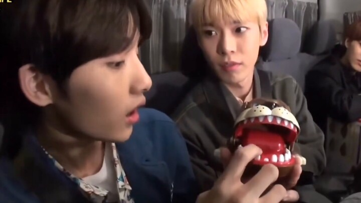"All four are bang, this dog is poisonous"