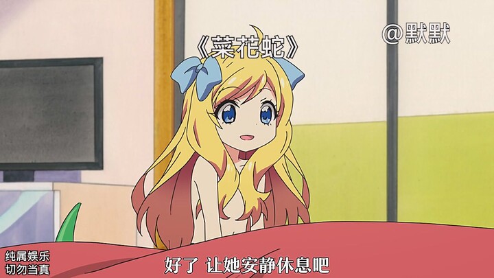 Con rắn hoa cải nhất quyết muốn hạ gục chủ nhân hóa ra cũng có một mặt dịu dàng.