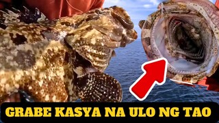 Ganun pala ang MABISANG PAMAIN sa Malalaking GROUPER | Catch And Sell (Sustainable fishing)