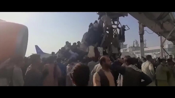 Đôi tay nữ thị trưởng Full Movie [Sub Việt]