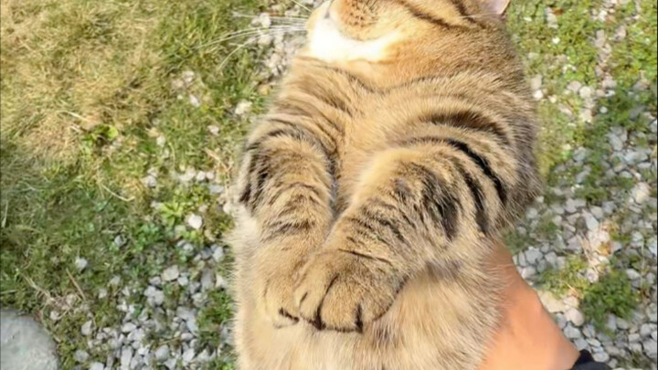 You really meddle in a lot of things, you woman!