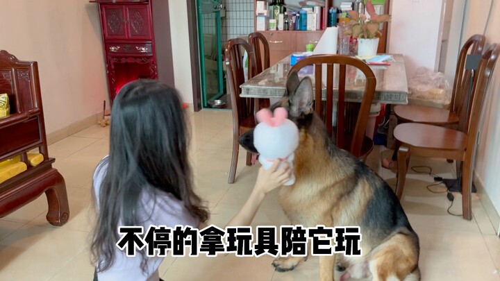 Chó thực sự thiên vị đến mức nào nhỉ?