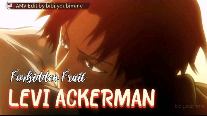 ATTACK ON TITAN - LEVI ACKERMAN [AMV] FORBIDDEN FRUIT