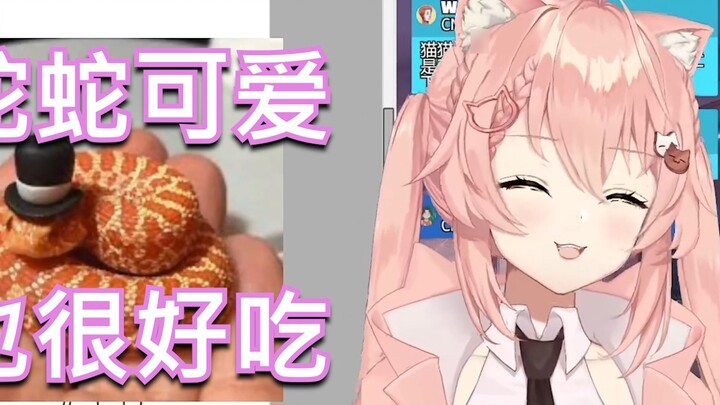 【Hiiro】Cat: “Snakes are very cute”, Cantonese: “They are also very delicious”