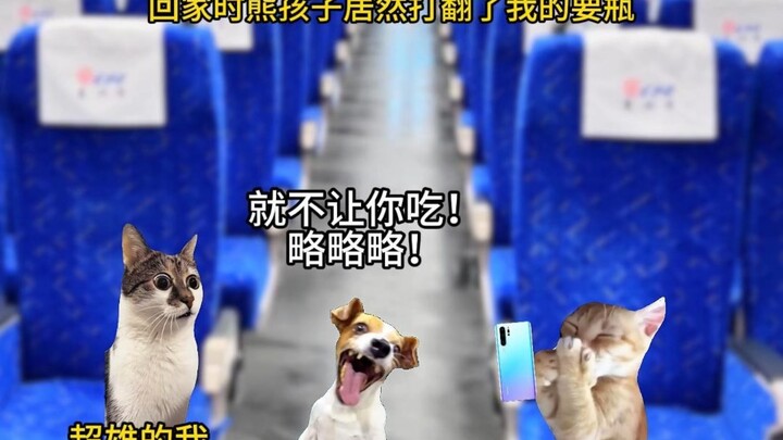 ตอนที่ 2 ของ “หมีผู้เยียวยา”