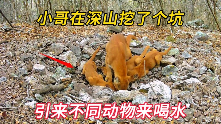 Anh chàng đào một hố nước giữa núi sâu, không ngờ lại giải quyết được khó khăn về nguồn nước uống ch