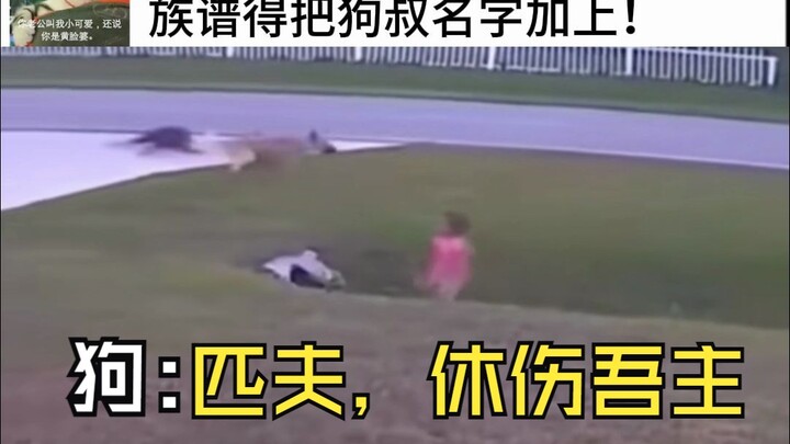 Anak: Waktunya makan!   Ayah: Tunggu dulu, Om Anjingmu belum duduk di meja!!!