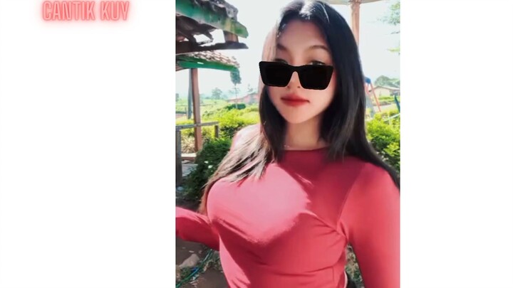 Pepaya gantung jumbo pulen