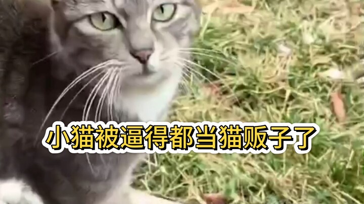 When I kept asking it for a baby, and then…