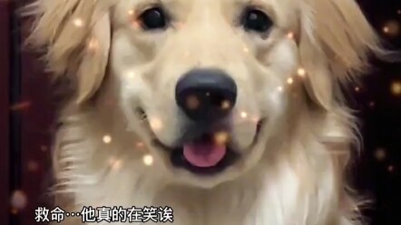 أحدث فيديو متوفر الآن، تابعنا!